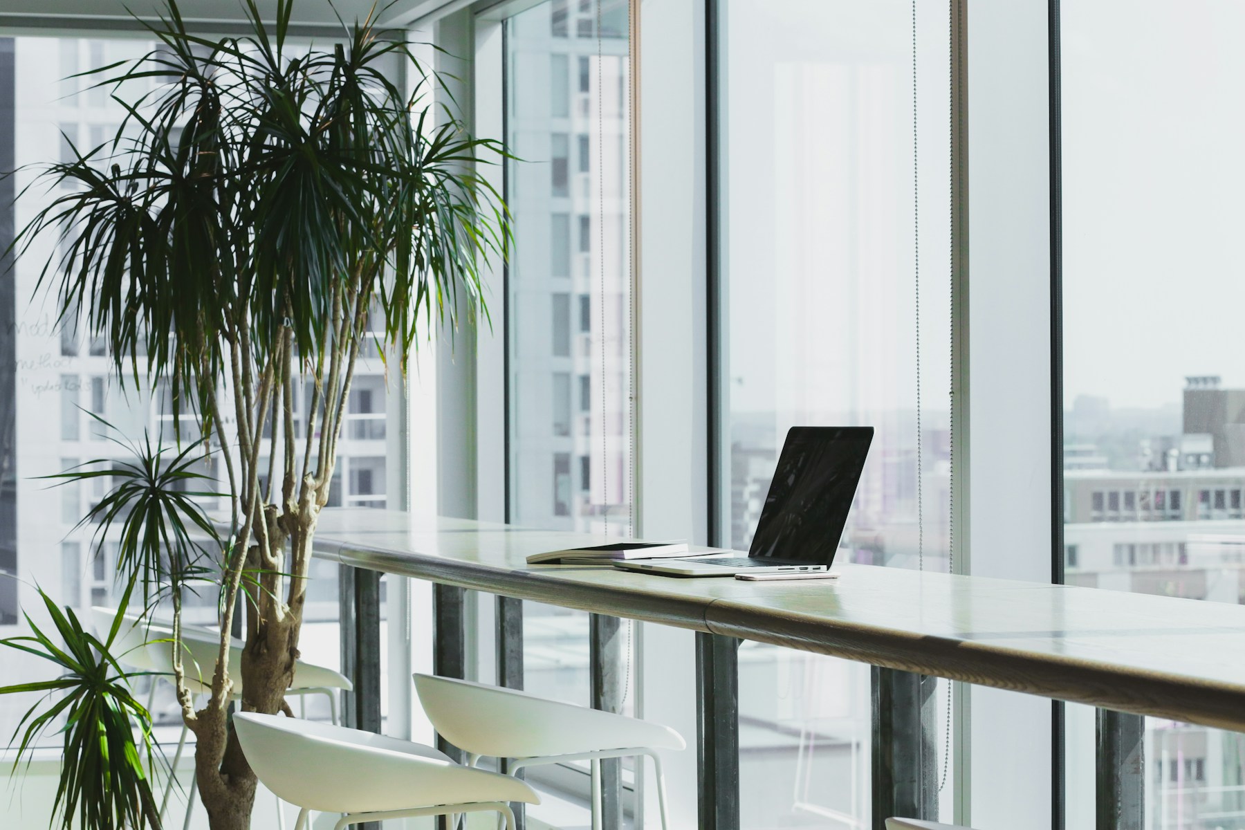 A bright, plant-filled workspace with a computer on a wooden desk